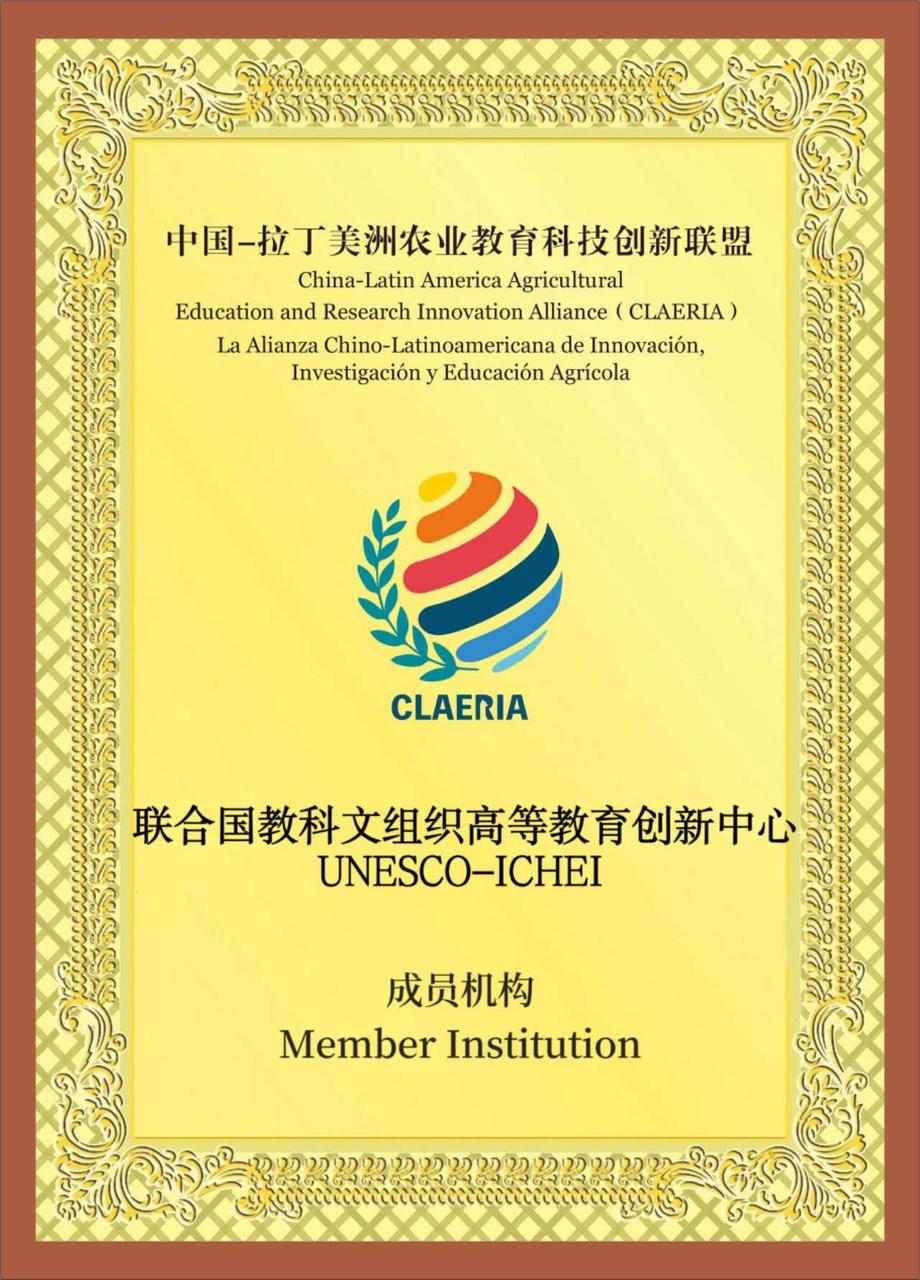 89551333.jpeg 1280X1280.JPEG